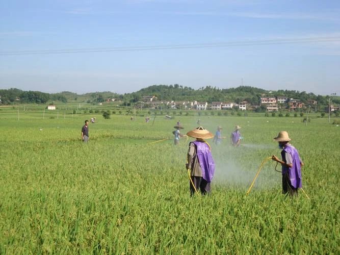 農(nóng)藥廢水,電催化氧化設備,電催化反應器,電催化氧化裝置 農(nóng)藥廢水,電催化氧化設備,電催化反應器,電催化氧化裝置
