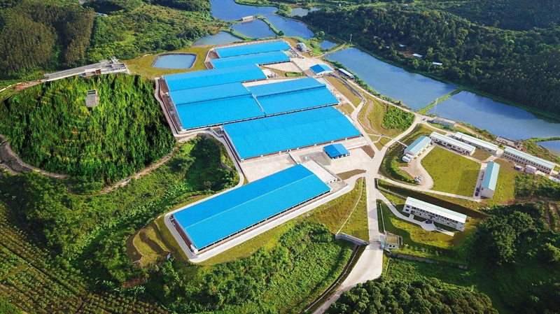 脫氮催化劑,硫自養脫氮填料,污水處理廠深度脫氮,濕地河道水質提升填充濾料 脫氮催化劑,硫自養脫氮填料,污水處理廠深度脫氮,濕地河道水質提升填充濾料